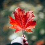 Health Spending Accounts HSAs in Canada The Complete 2026 Guide for Employers Health Spending Accounts (HSAs) in Canada: The Complete 2026 Guide for Employers